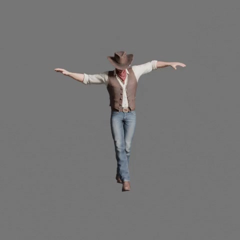Cowboy tightrope balance: Reference · fixed comparison camera