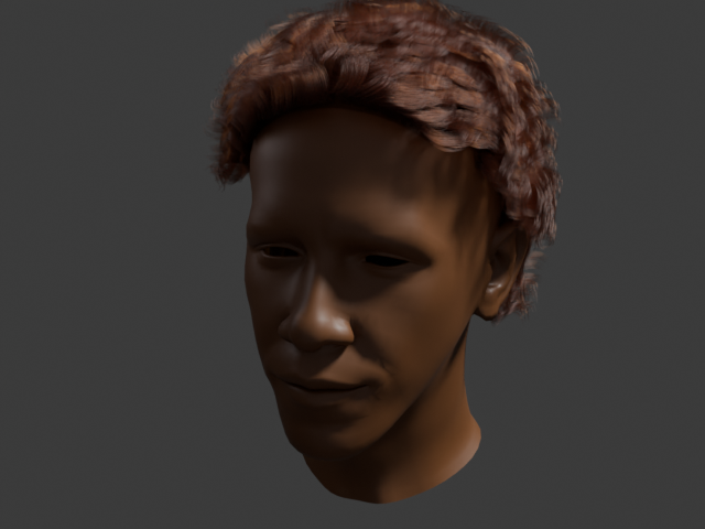 Hair dynamics task reference: swept-back hair at frame 30